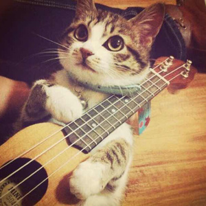 巜裸体舞会台湾DVD
